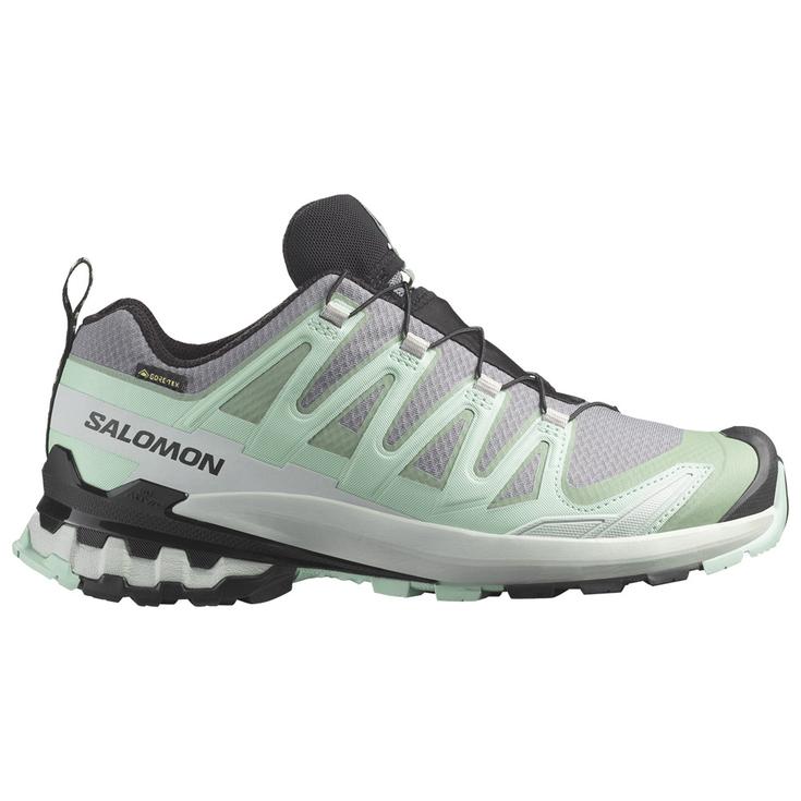 Salomon Trailrunning-Schuhe Xa Pro 3D V9 Gore-Tex W Quiet Shade Lily Pad Blue Haze Präsentation