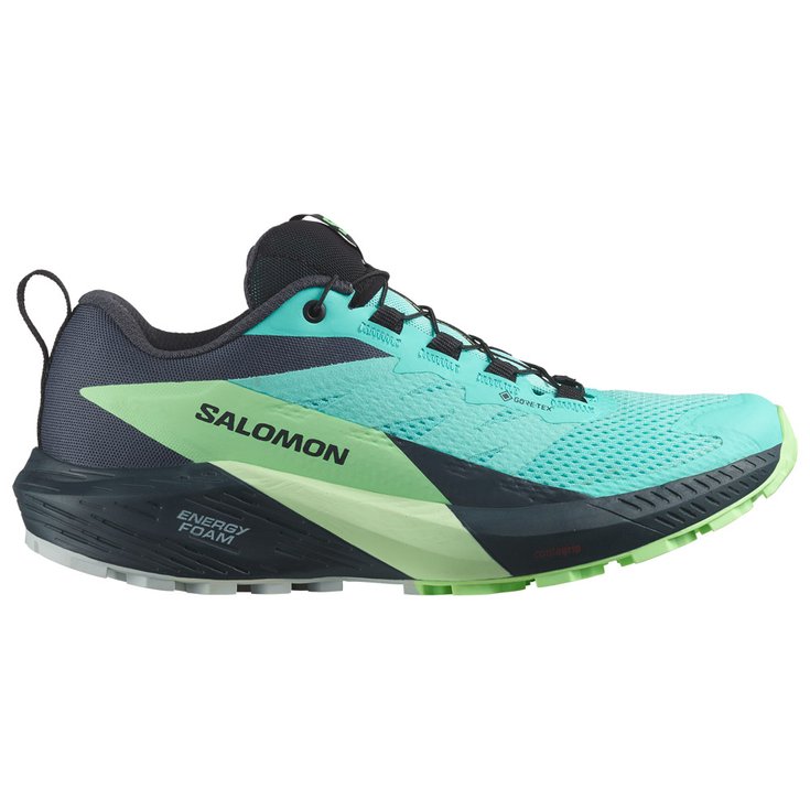 Salomon Trail shoes Sense Ride 5 Gtx W Blue Radiance Green Ash India Ink Overview