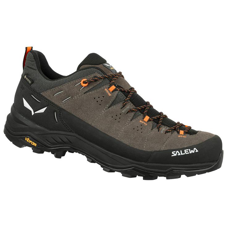 Salewa Aanloopschoenen Alp Trainer 2 Gore-Tex Bungee Cord Black Voorstelling