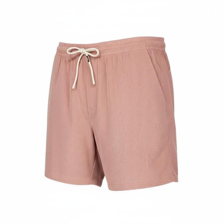 Picture Pantaloncini Nollur Shorts Burlwood Presentazione