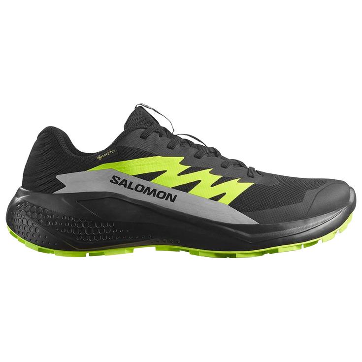 Salomon Trailrunning-Schuhe Alphaglide Gore-Tex Black Alloy Sharp Green Präsentation