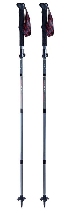 Exel Bastones Apex 115-130 Grey Red Presentación
