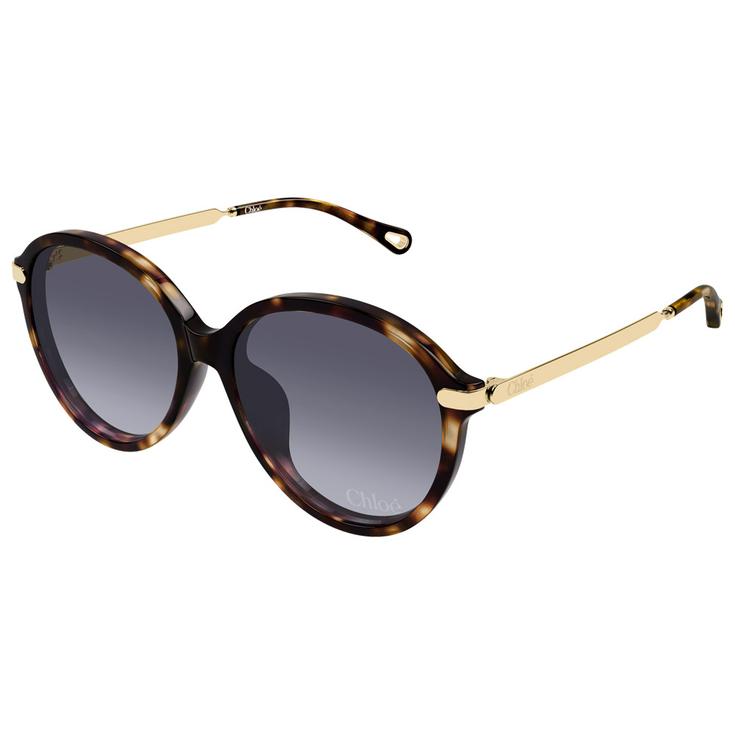 Chloé Lunettes de soleil CH0358SK Asian Fit 002 Havana Présentation