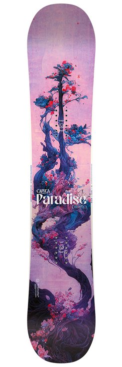 Capita Snowboard Paradise - 143 Overview