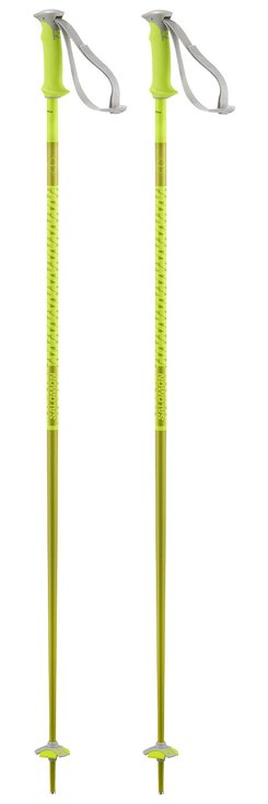 Salomon Pole Polar Neon Yellow Overview