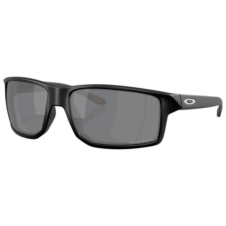 Oakley Gafas Gibston XL Matte Black Prizm Black Presentación