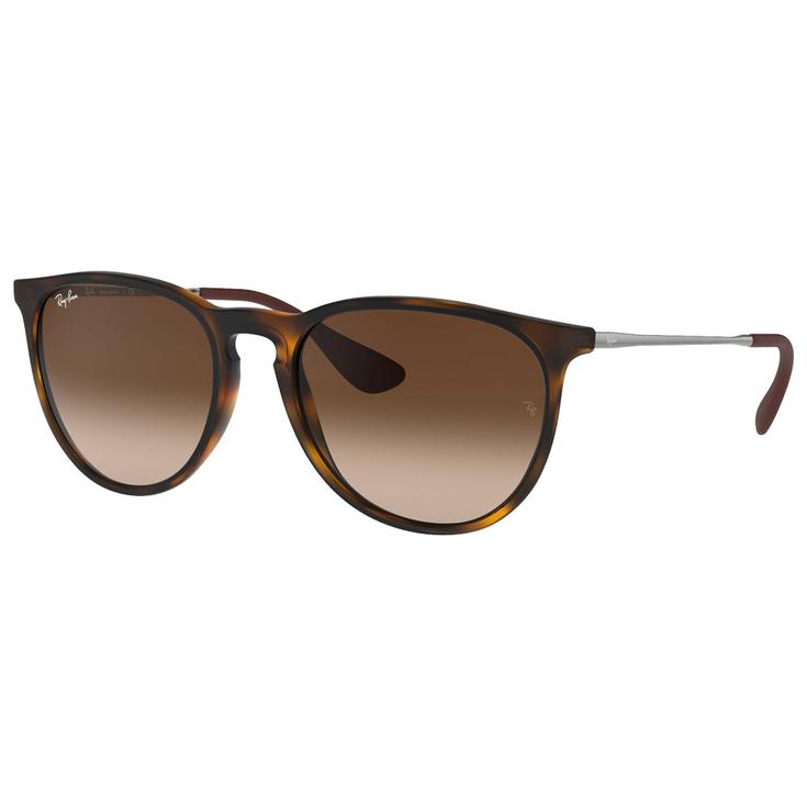 Ray Ban Sunglasses RB4171 Erika Classic Matte Havana Brown Overview