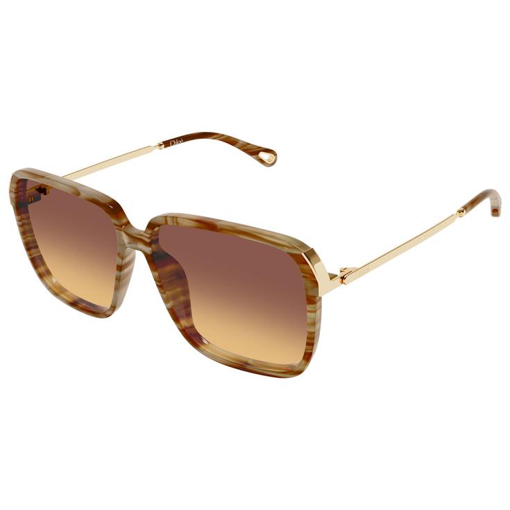 Chloé Lunettes de soleil CH0405S 004 Havana Présentation
