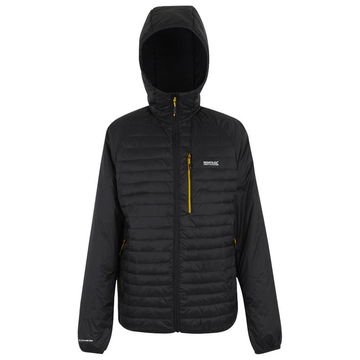 DARE2B Down jackets Rowak Black Overview
