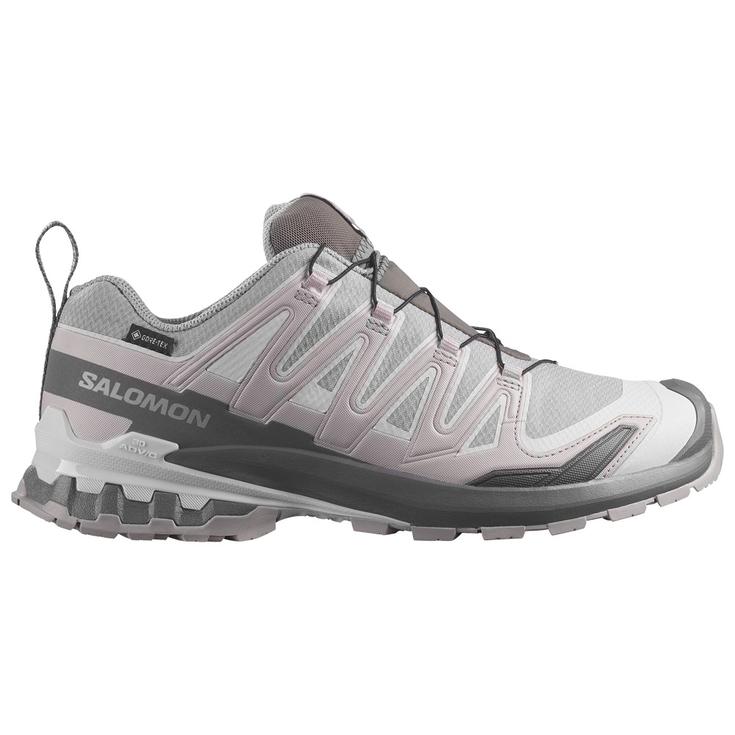 Salomon Xa Pro 3D V9 Gore-Tex Alloy Castlerock Lunar Rock 