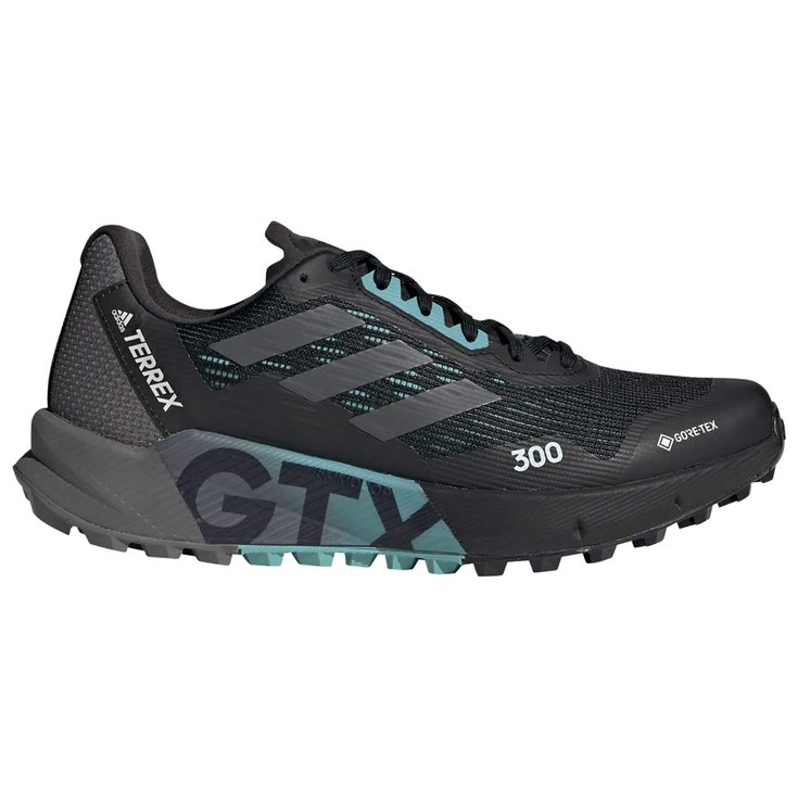 Adidas Chaussures de trail Terrex Agravic Flow 2 Gtx W Cblack Gresix Minton Overview