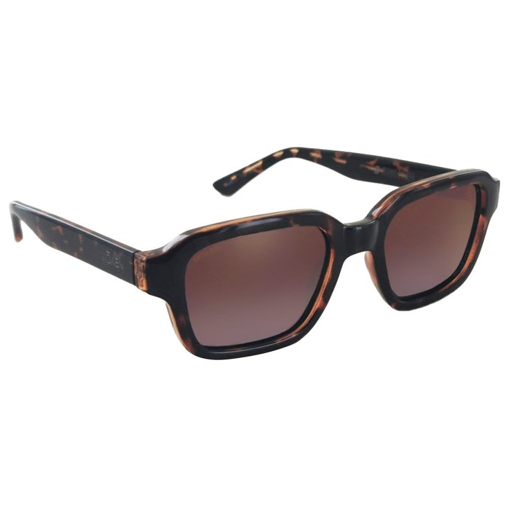 Moken Vision Gafas Dane Tortoise Brown Cat.3 Polarized Presentación