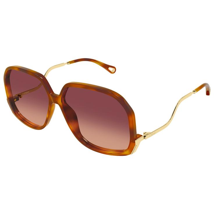 Chloé Gafas CH0404S 001 Havana Presentación