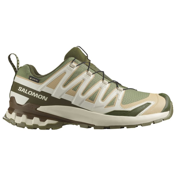 Salomon Trail shoes Xa Pro 3D V9 Gore-Tex Deep Lichen Green Safari Dark Overview