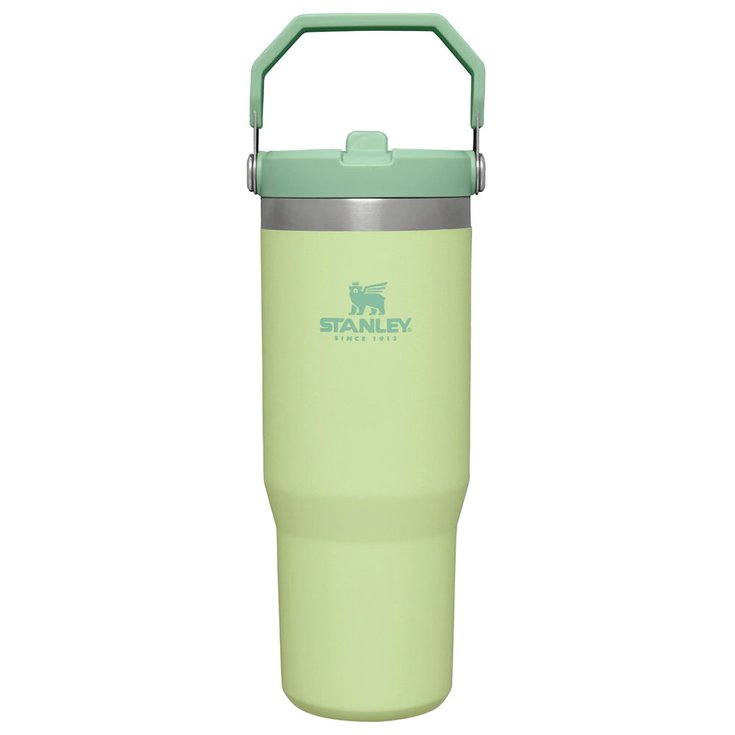 Stanley Mug The Iceflow Flip Straw Tumbler 0.89L Citron Präsentation