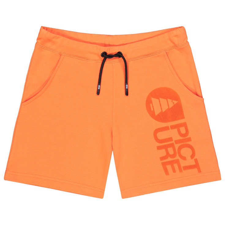 Picture Short Basement Shorts Dusty Orange Présentation