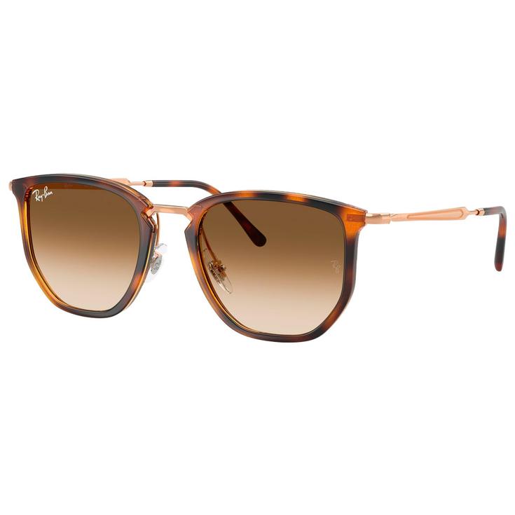 Ray Ban Zonnebrillen RB4451 Polished Orange Translucide Incolore Gradient Brown Voorstelling