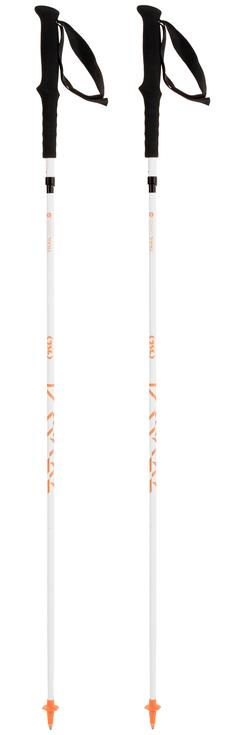 TSL Bastoncini da trail running Trail Carbon 4 Fly Ultra Mid Short White Gold Presentazione