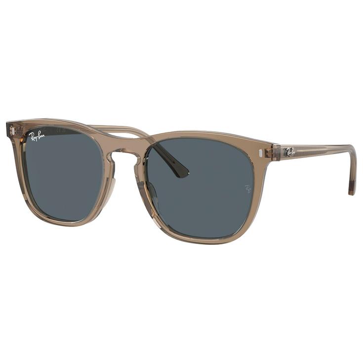 Ray Ban Zonnebrillen RB2210 Polished Transparent Brown Blue Voorstelling