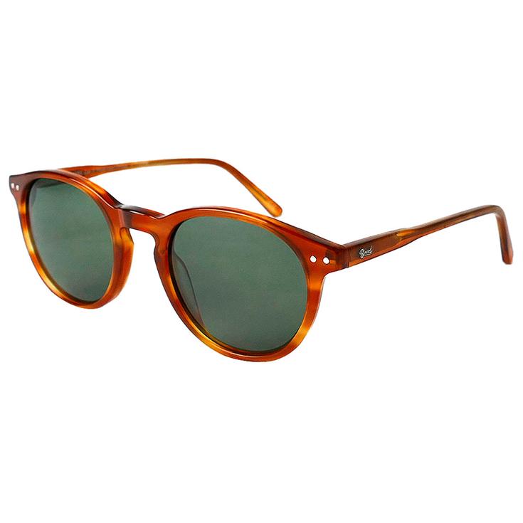 Binocle Eyewear Sonnenbrille California Shiny Tortoise Green Polarized Präsentation