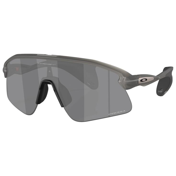 Oakley Gafas Stunt Devil Grey Smoke Prizm Black Presentación