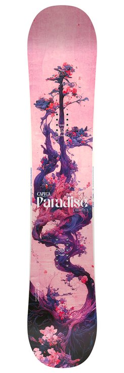 Capita Snowboard Paradise - 139 Overview