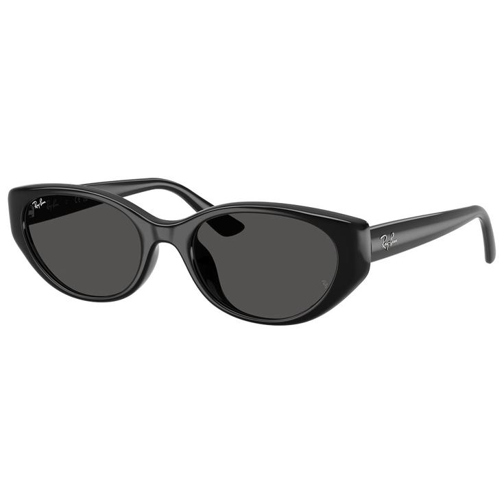Ray Ban RB4457D Polished Black Dark Grey 