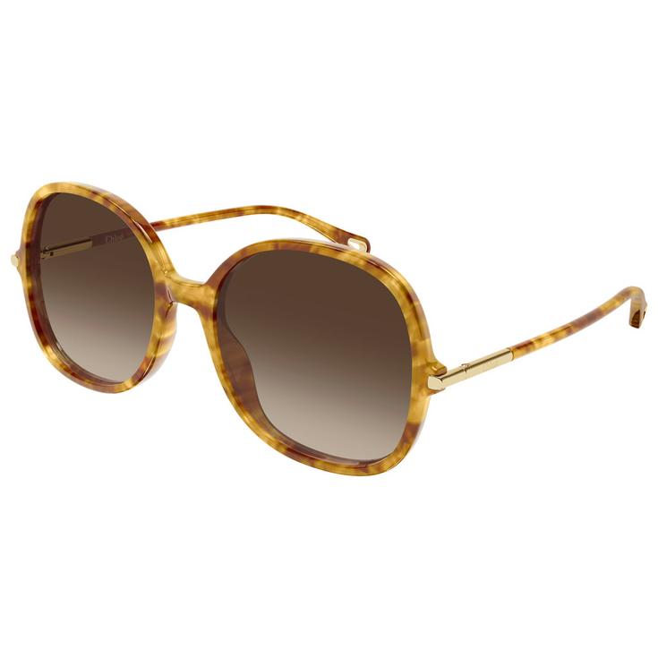 Chloé Lunettes de soleil CH0383S 002 Havana Présentation