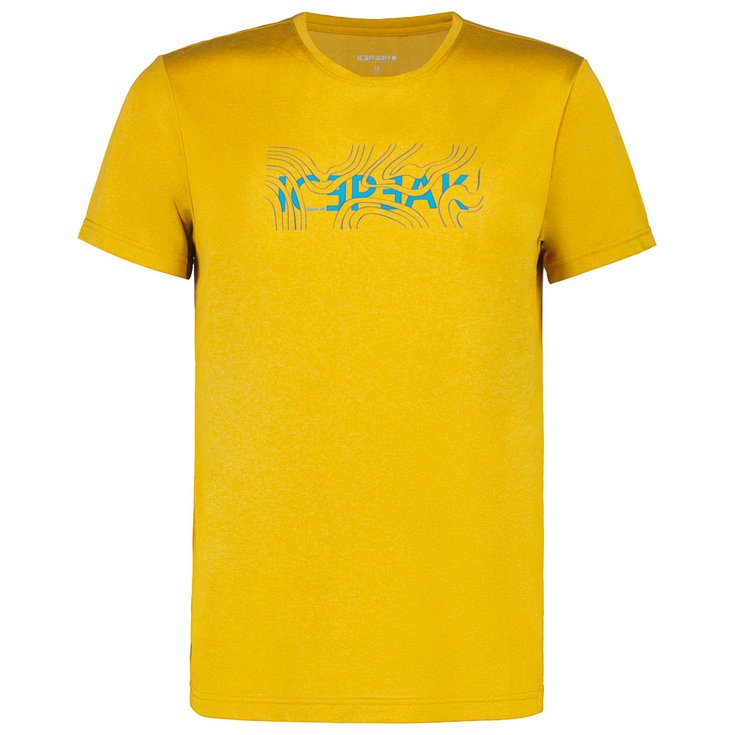 Icepeak Hiking tee-shirt Bearden Jaune Overview
