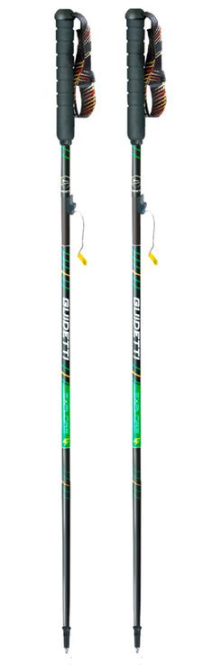 Guidetti Pole Explore Aero Alu Noir Vert Overview