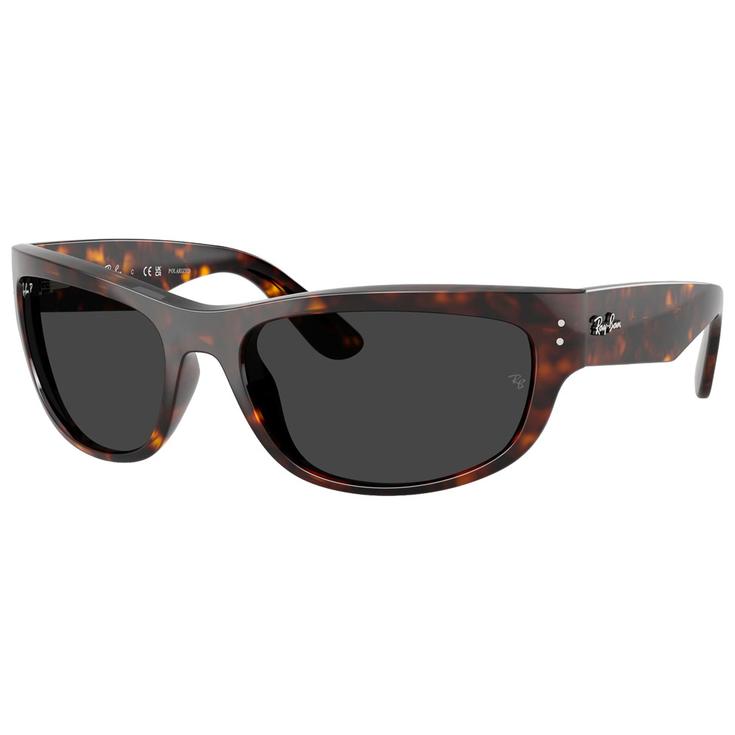 Ray Ban Sunglasses RB2289 Mega Balorama Polished Havana Polar Black Overview