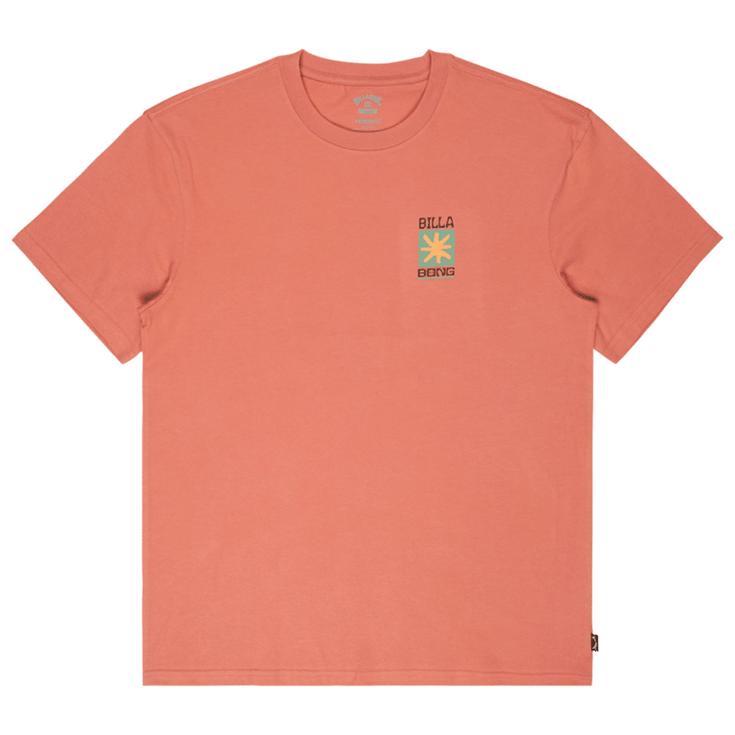 Billabong Maglietta Good Times Short Sleeve Dusty Rose Presentazione