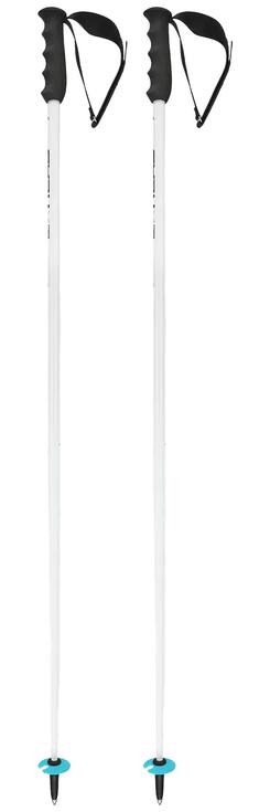 Head Pole Worldcup Sl White Black Speed Blue Overview