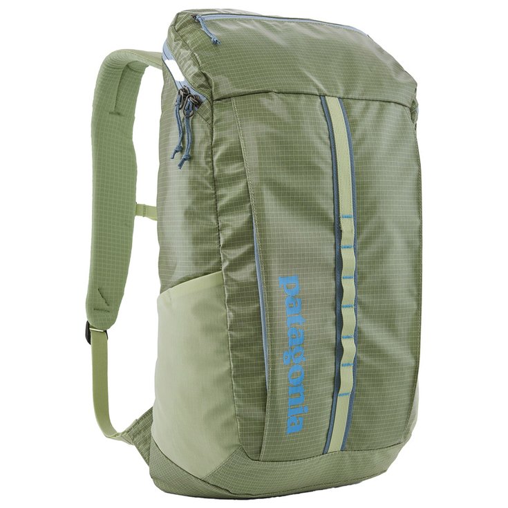 Patagonia Backpack Black Hole Pack 25L Friend Green Overview
