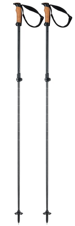 Elan Pole Voyager Rod Overview