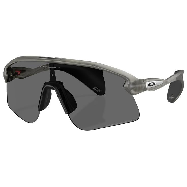 Oakley Gafas Stunt Devil S Grey Ink Clear Black Iridium Photochromic Presentación