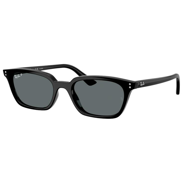 Ray Ban Sunglasses RB4456 Zaya Polished Black Dark Grey Polar Overview
