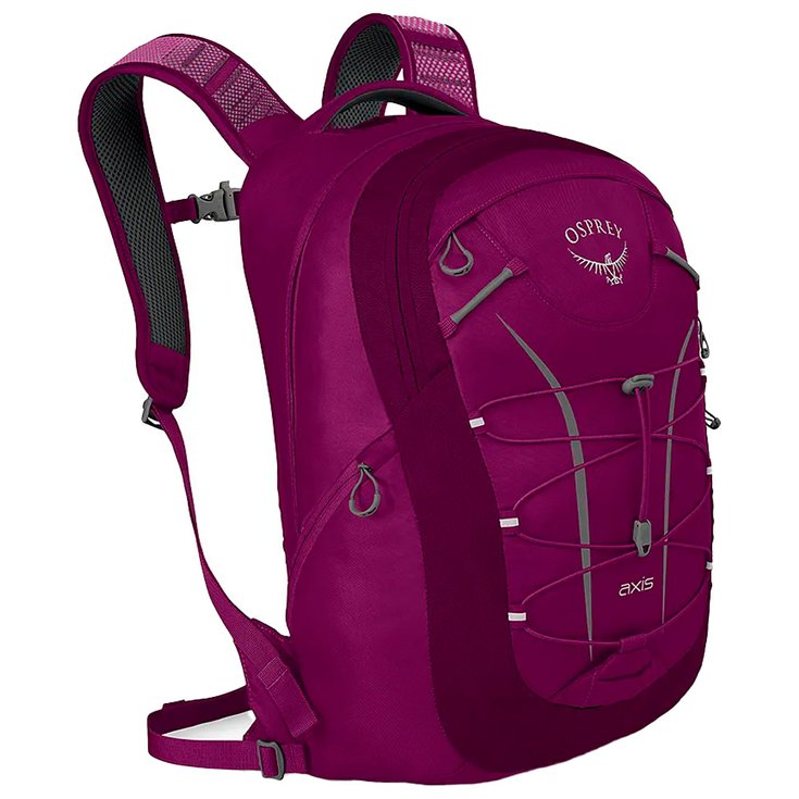 Osprey Backpack Axis 18 Eggplant Purple Overview