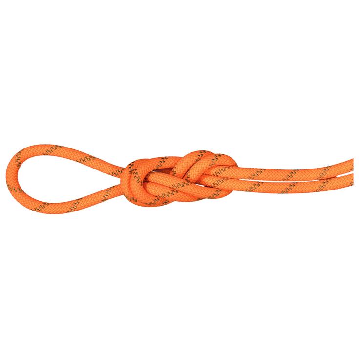 Mammut Kletterseil 8.0 Alpine Dry Rope Vibrant Orange Boa Präsentation