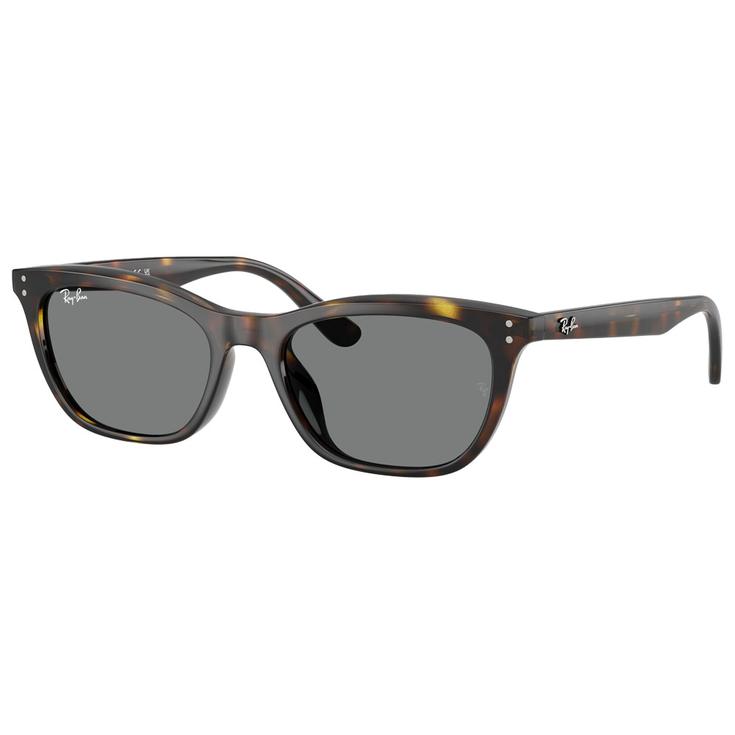 Ray Ban Lunettes de soleil RB4474D Polished Havana Dark Grey Présentation