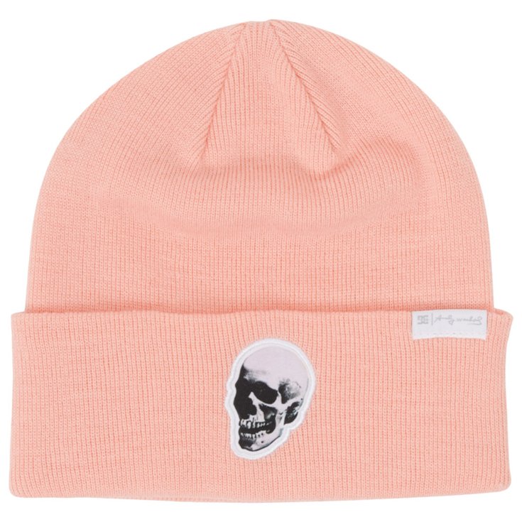 DC Beanies Andy Warhol Label W Shell Pink Overview