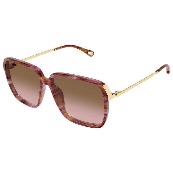 Chloé Lunettes de soleil CH0405S 002 Havana Présentation