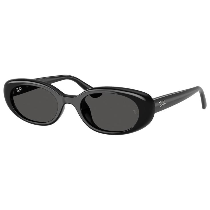 Ray Ban Zonnebrillen RB4441D Polished Black Dark Grey Voorstelling