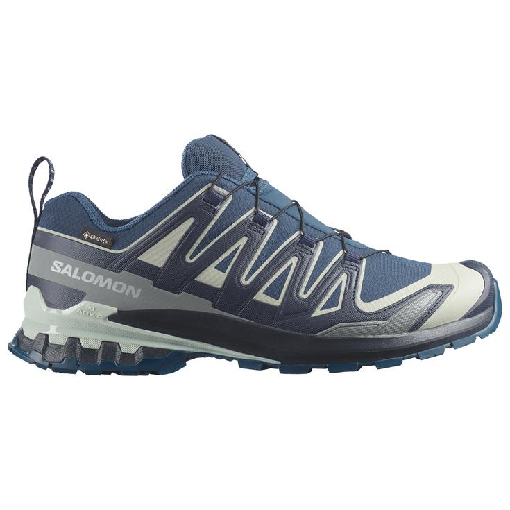 Salomon Xa Pro 3D V9 Gore-Tex Spellbound Maritime Blue Wroug 
