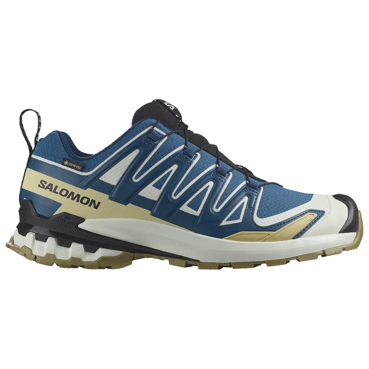 Salomon Trailrunning-Schuhe Xa Pro 3D V9 Gore-Tex Dark Blue Icicle Aloe Präsentation