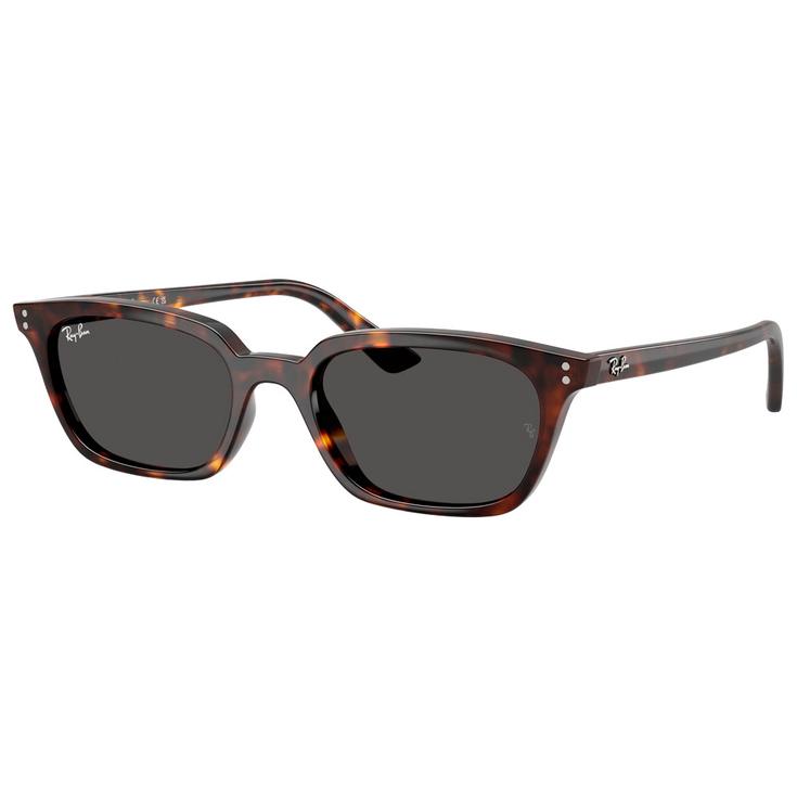 Ray Ban Gafas RB4456 Zaya Polished Havana Dark Grey Presentación