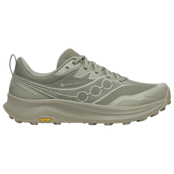 Saucony Botas de trail Peregrine 16 Gore-Tex Laurel Sage Presentación