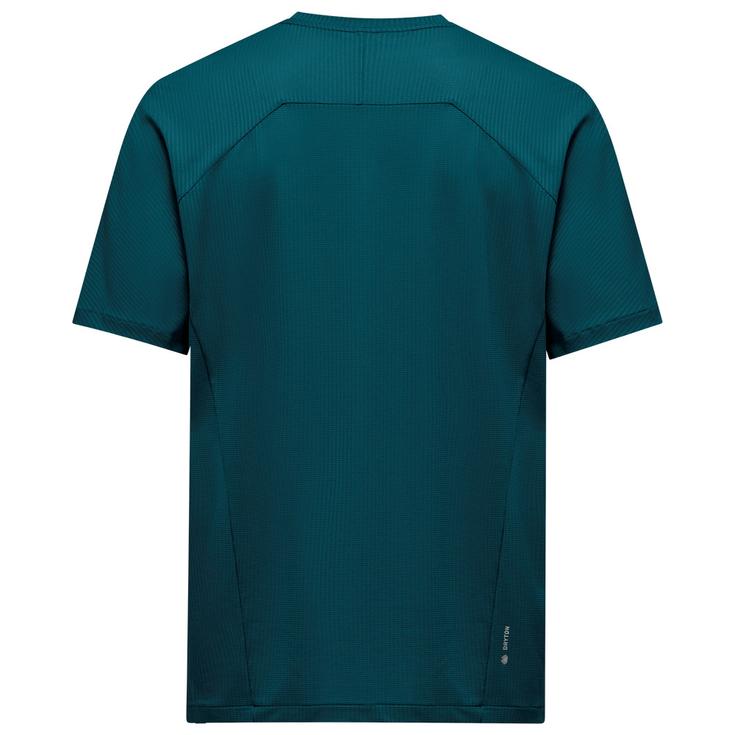 Salewa Wandel T-shirt Pedroc Dry Light T-Shirt Pond Blue Profiel