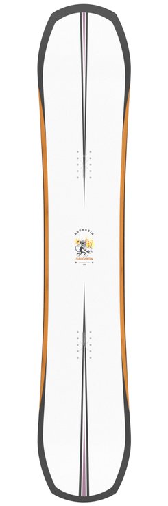 Salomon Snowboard Assassin Overview