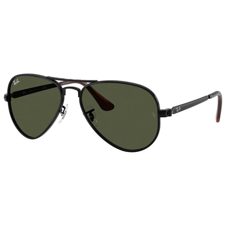 Ray Ban Gafas RB3925 Aviator Max Polished Black Green Presentación